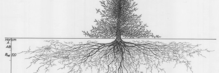 all-incomplete banner