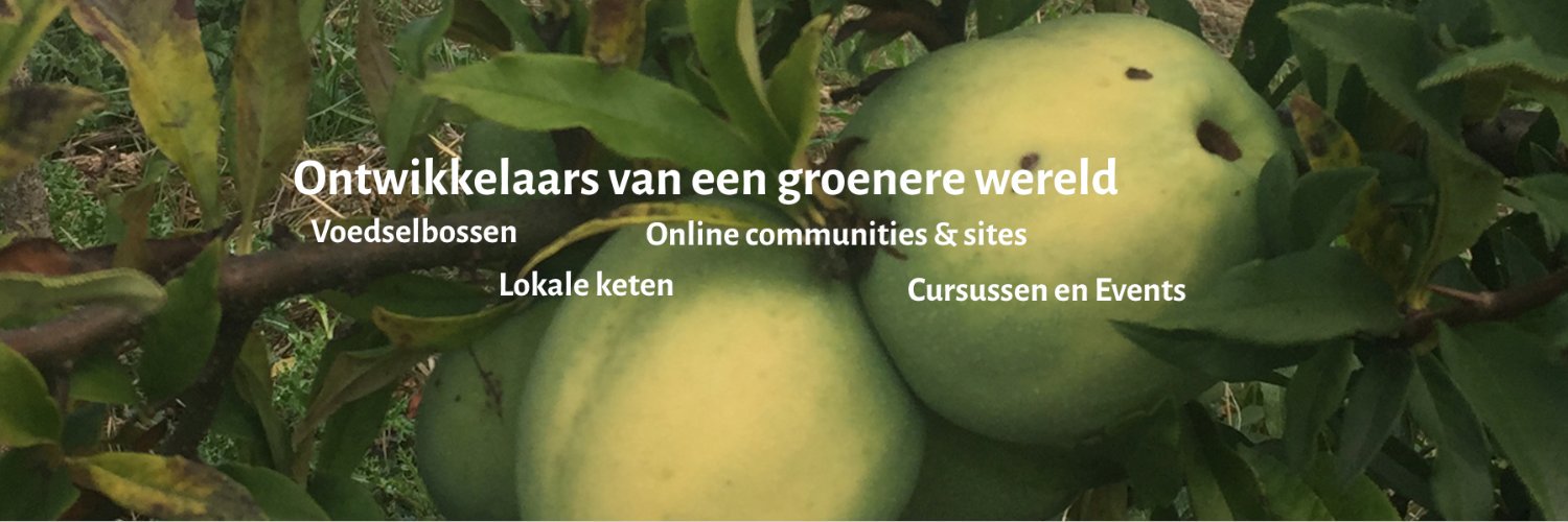theplantNL's profile banner image