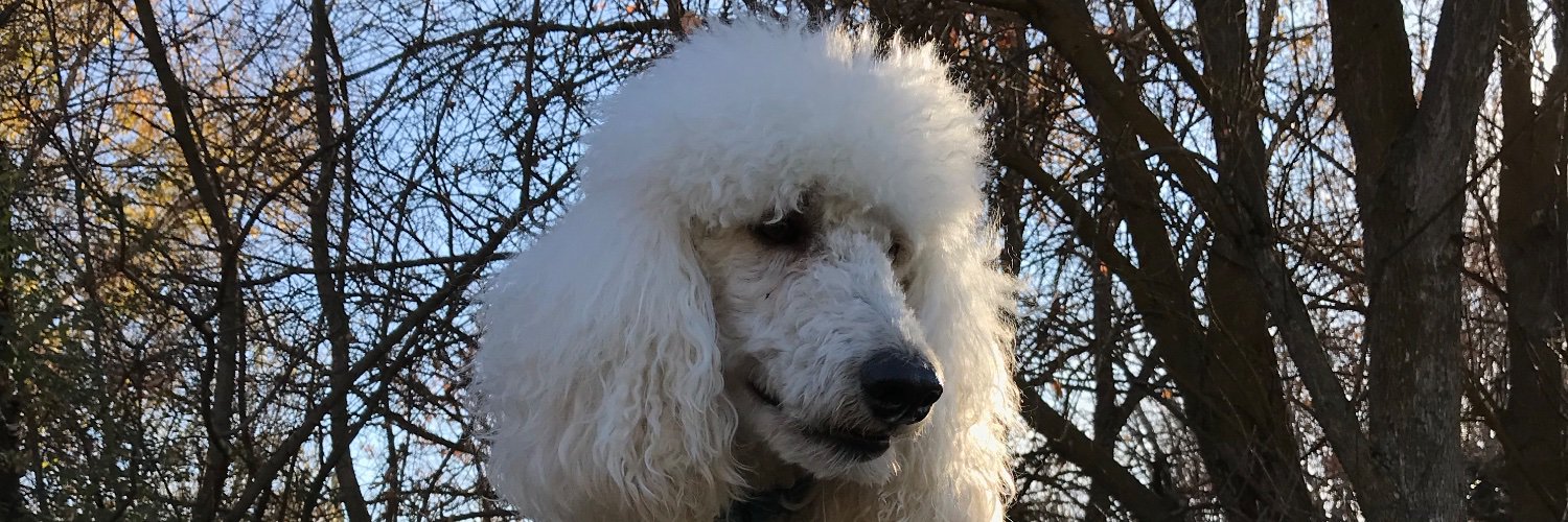 jkings's profile banner image