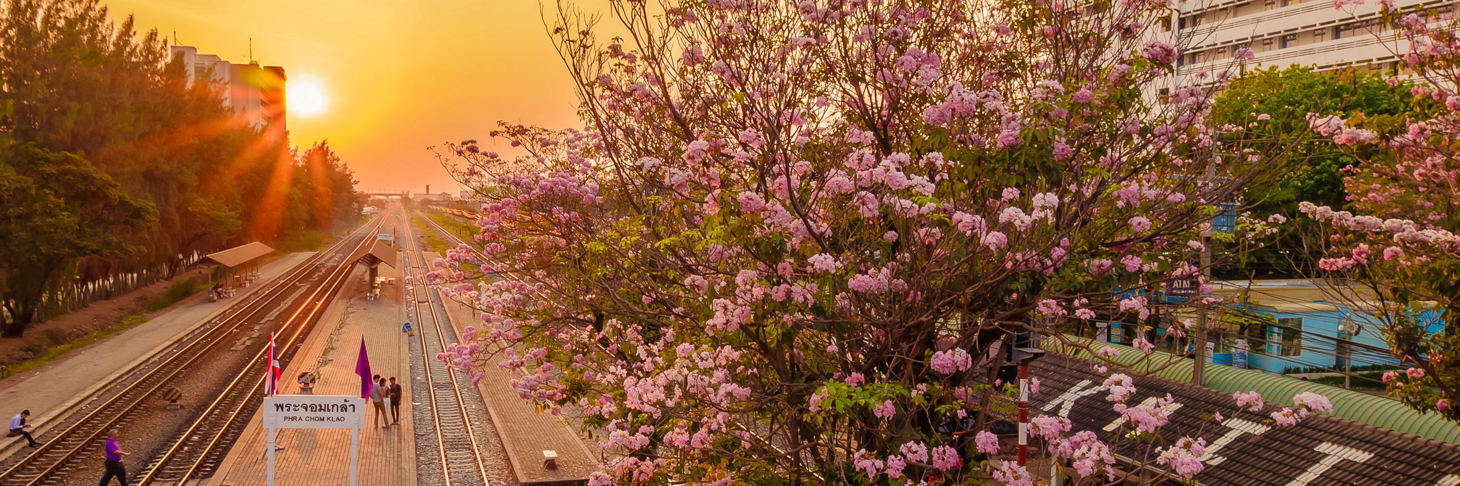 タッちい banner