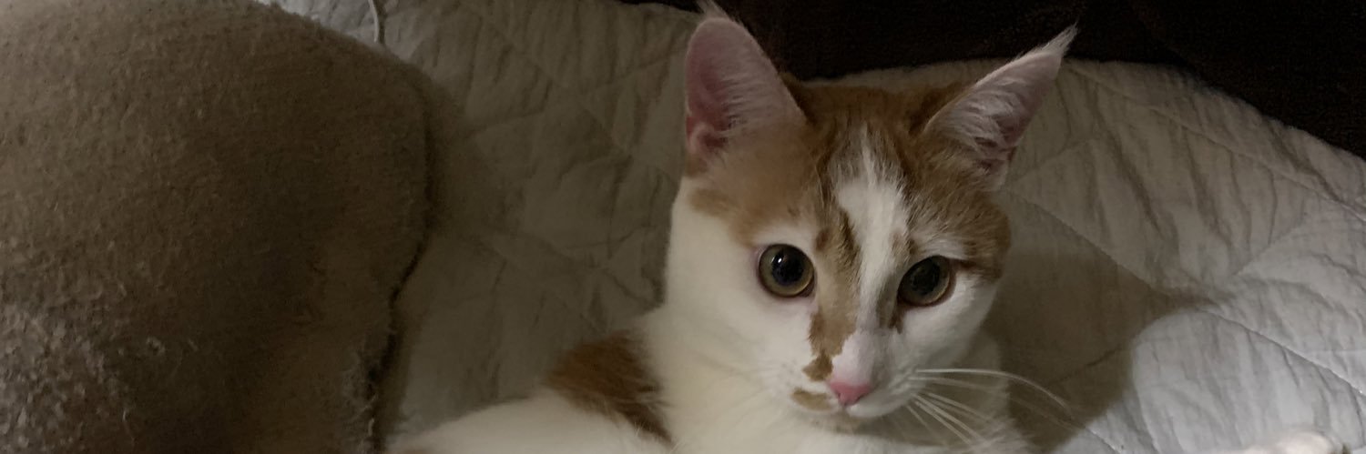 chicken_Rahmen's profile banner image