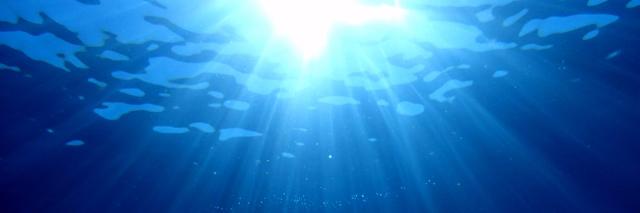 Twitter banner for @diving