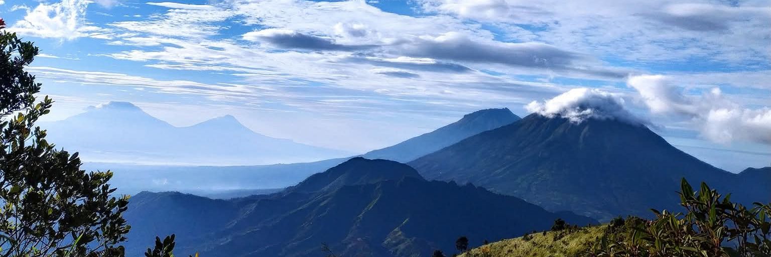 yee? (❖,❖) banner