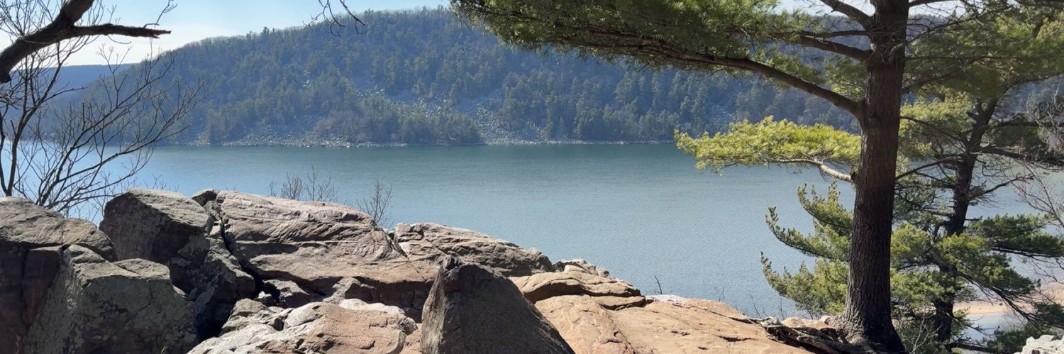 🌲Midwest Slayer⚡️ banner