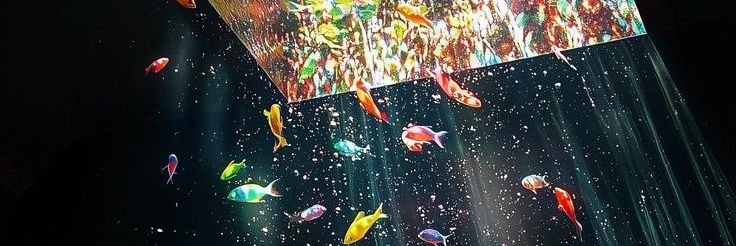0___o's banner