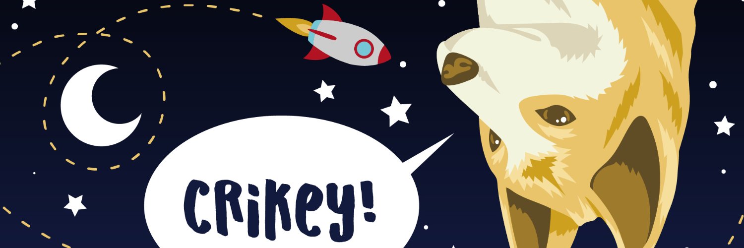 Dingo Saylor 🐕 banner