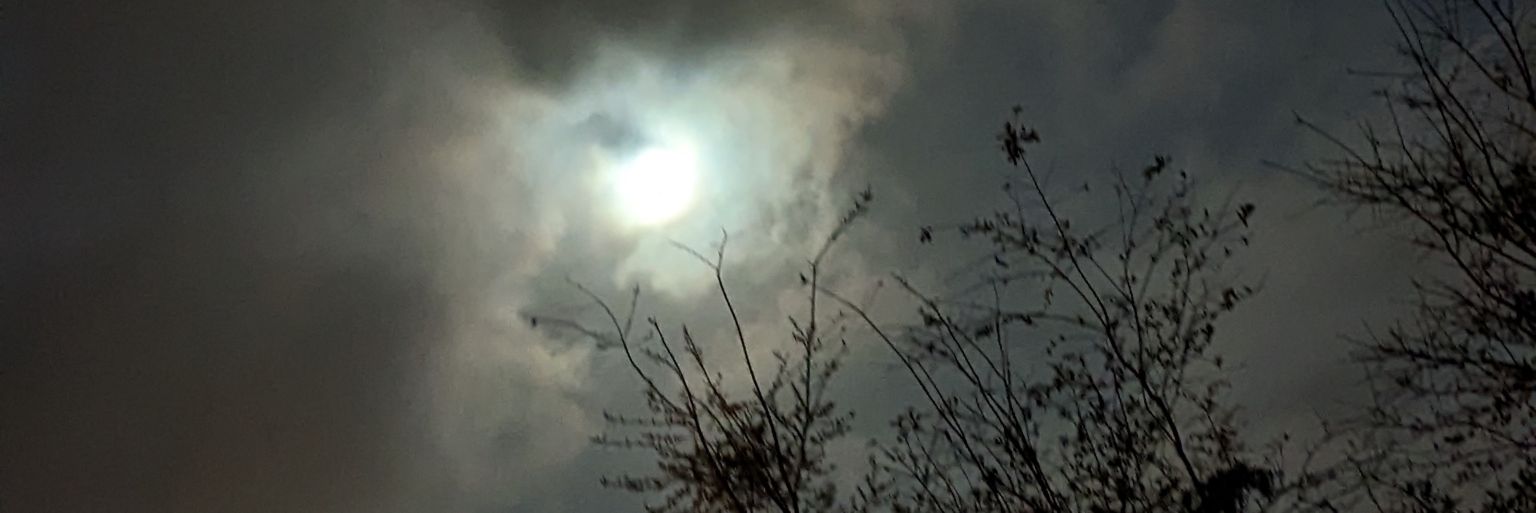 bbisweird's profile banner image