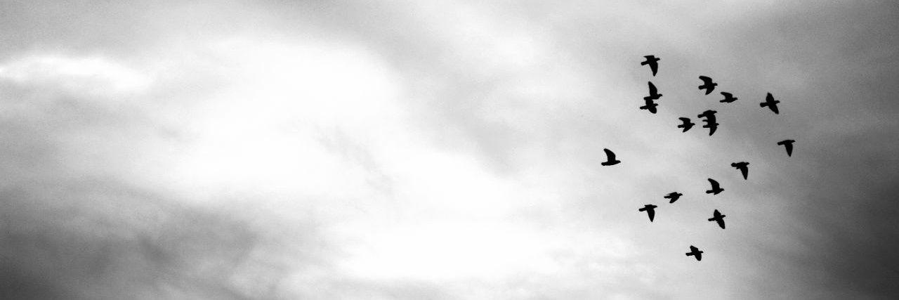 gazooki's profile banner image