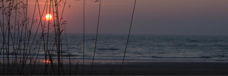 jamesronnie's profile banner image