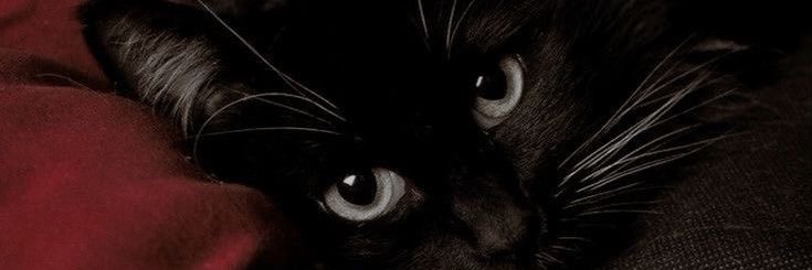 WARD banner