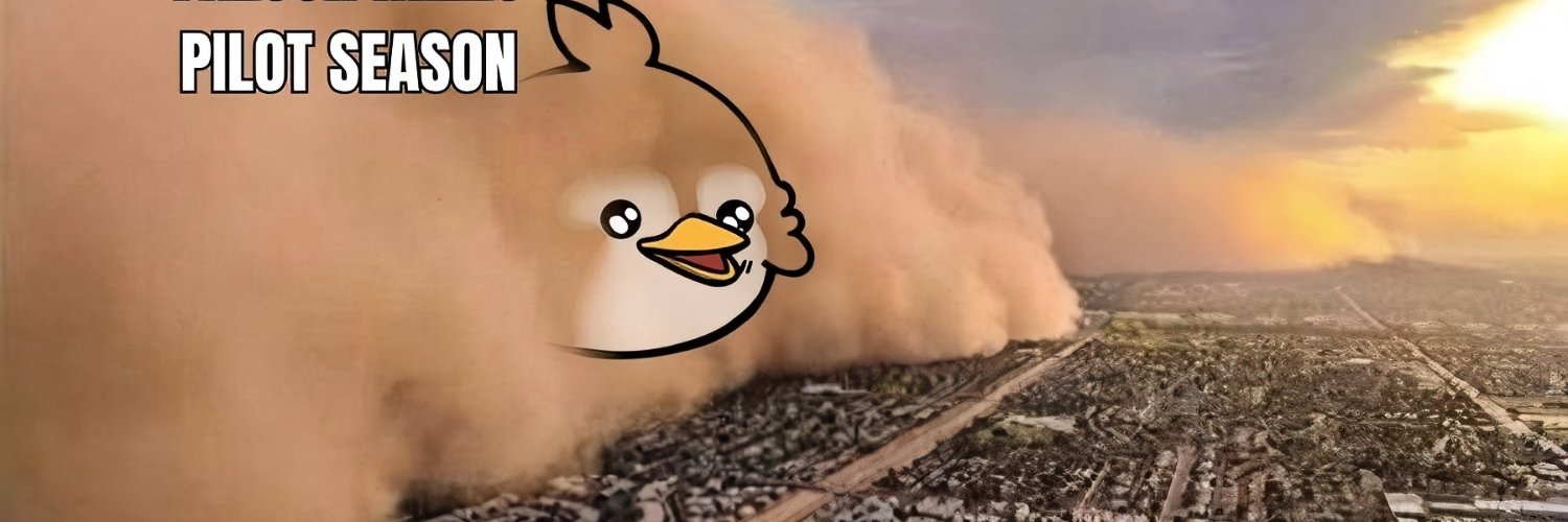 君美甚🔆 banner