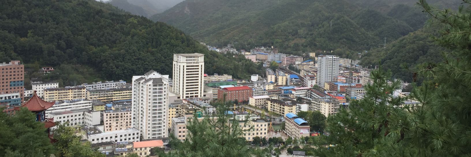 👣 不 羡 🐠 banner