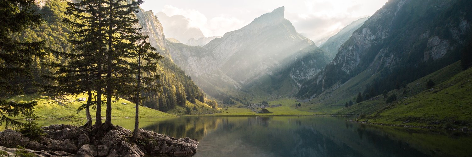 Olek Vlastelin_Reddio banner