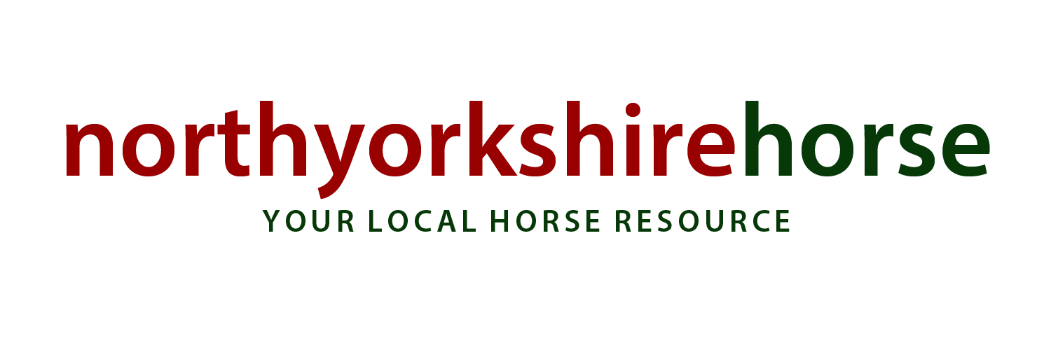 northyorkshorse's profile banner image