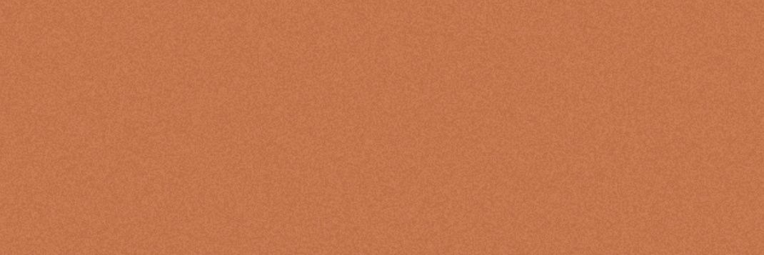 cinnamunkat's profile banner image