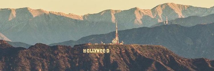 GeZzZY's profile banner image