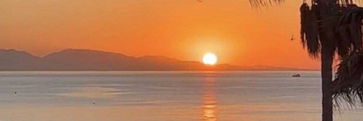 jlowe_16's profile banner image