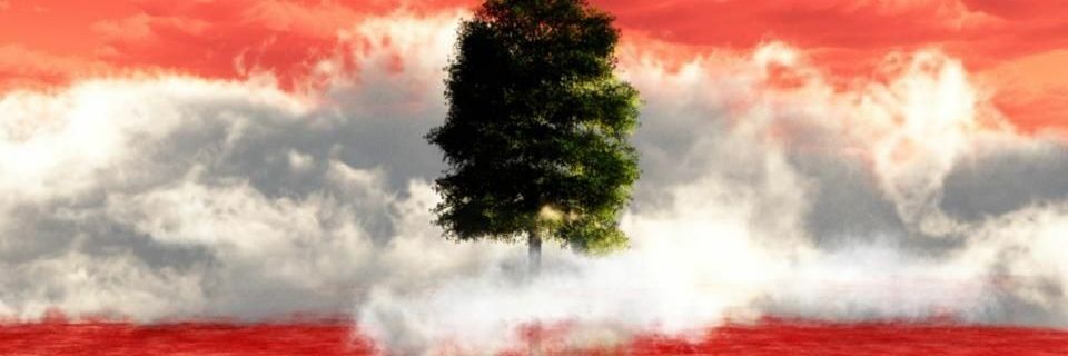 Iyad Mashmoushi banner