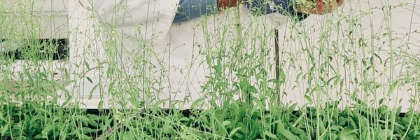 SouravBiotech Profile Banner