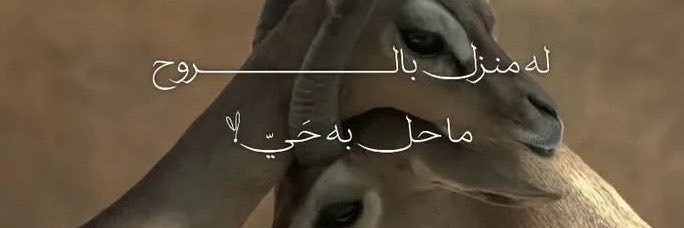 p__j1x's profile banner image