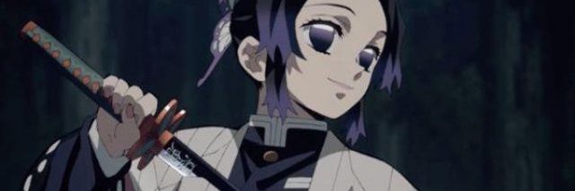Pol Wwo banner
