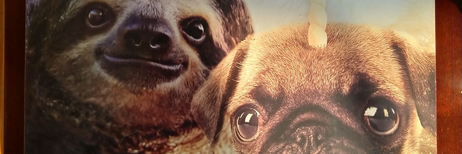 DMeathang's profile banner image