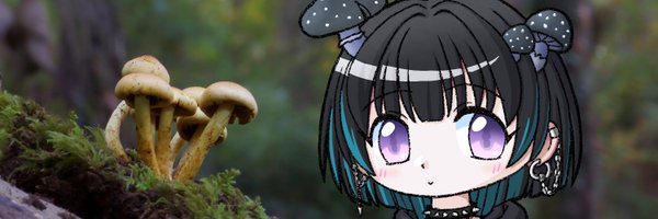 satoxpochi Profile Banner