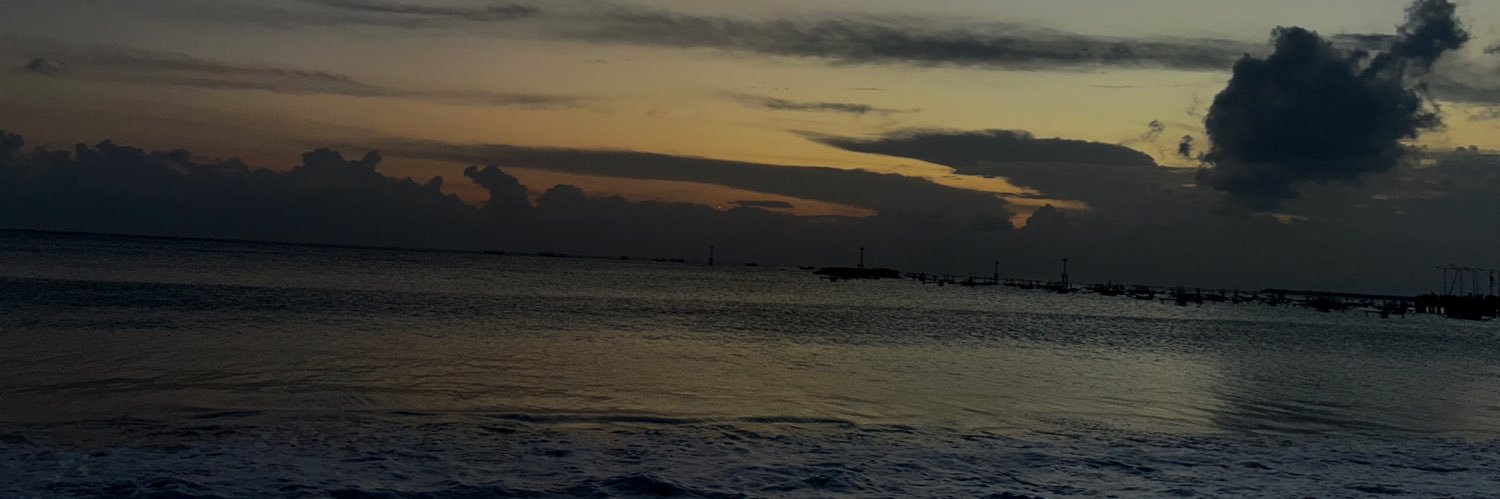 dya ²⁶ ⋆.✶⋆.˚ banner