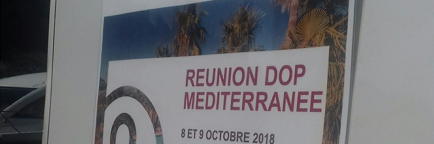 Carine MILANI banner