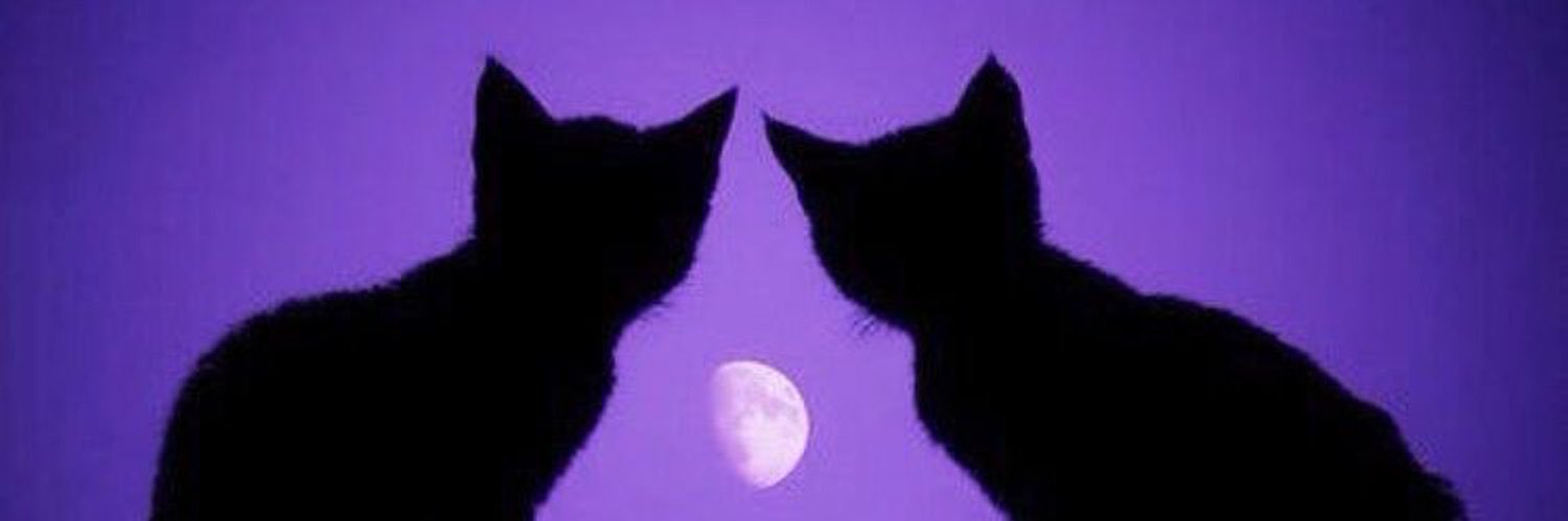 mindlesswh0re's profile banner image