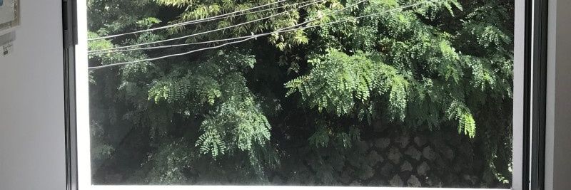saetree24's profile banner image