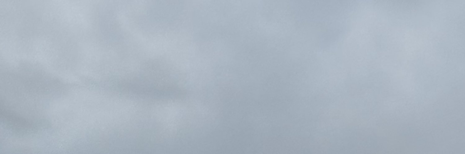 RealPaulRod's profile banner image