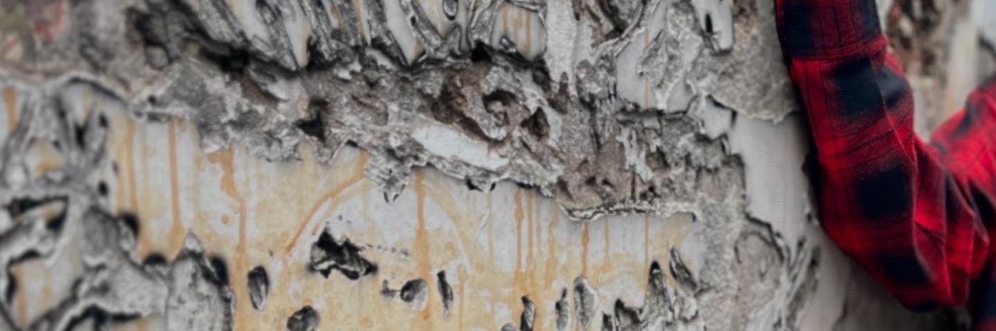 Narsverse's profile banner image