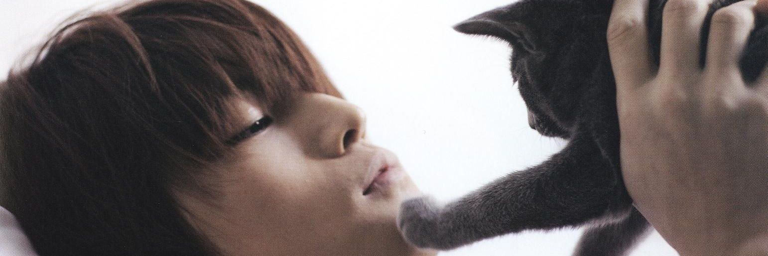 💚💜 ᵏᵒᵒᵏ 💜💚 banner