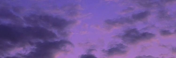 dam banner