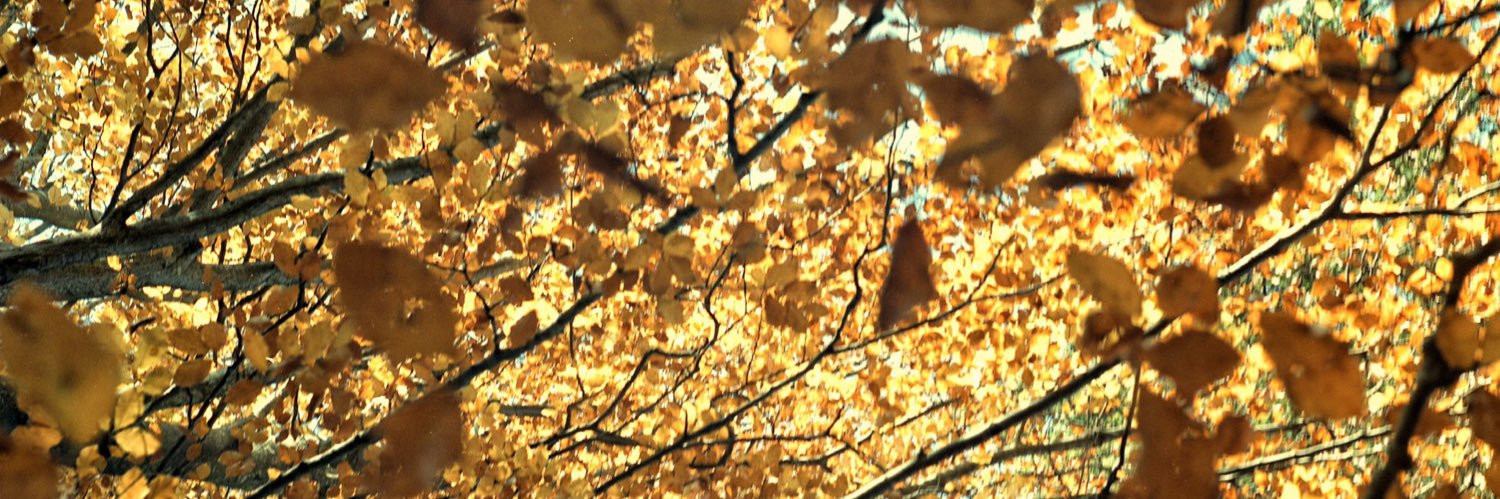 Unwind Project banner