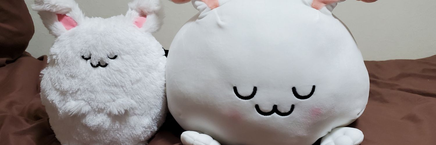 いくシ～🎄ネスティー🌊君沢ジャパン banner