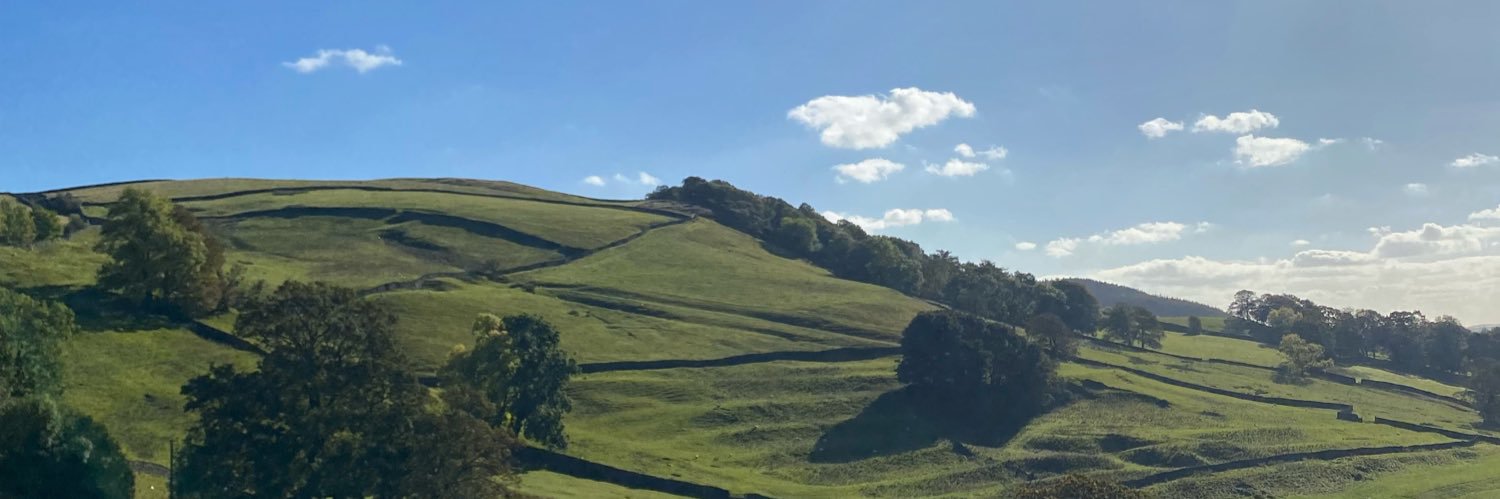 rhimus_'s profile banner image