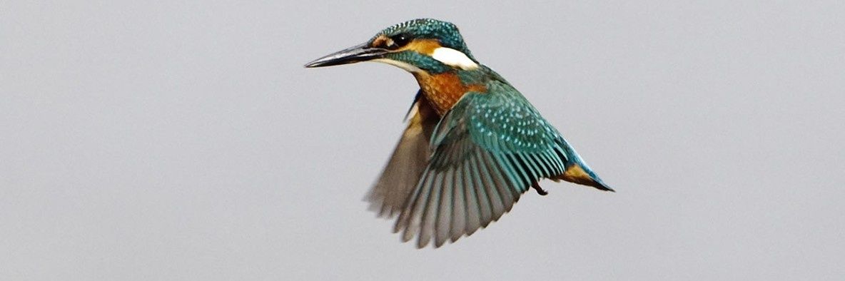 OliverPaulWood's profile banner image