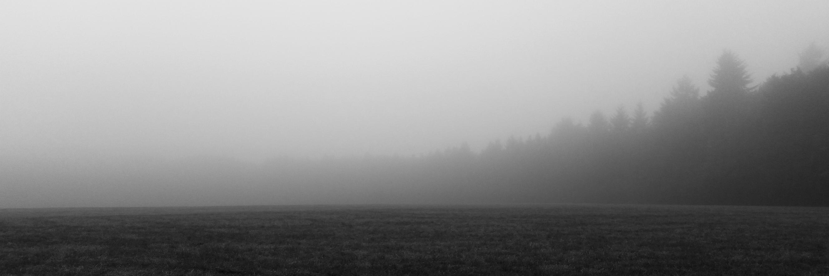 Diederik banner