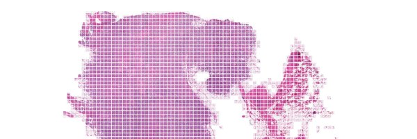 SeanHacking Profile Banner