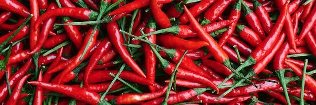 Señor Paprika banner