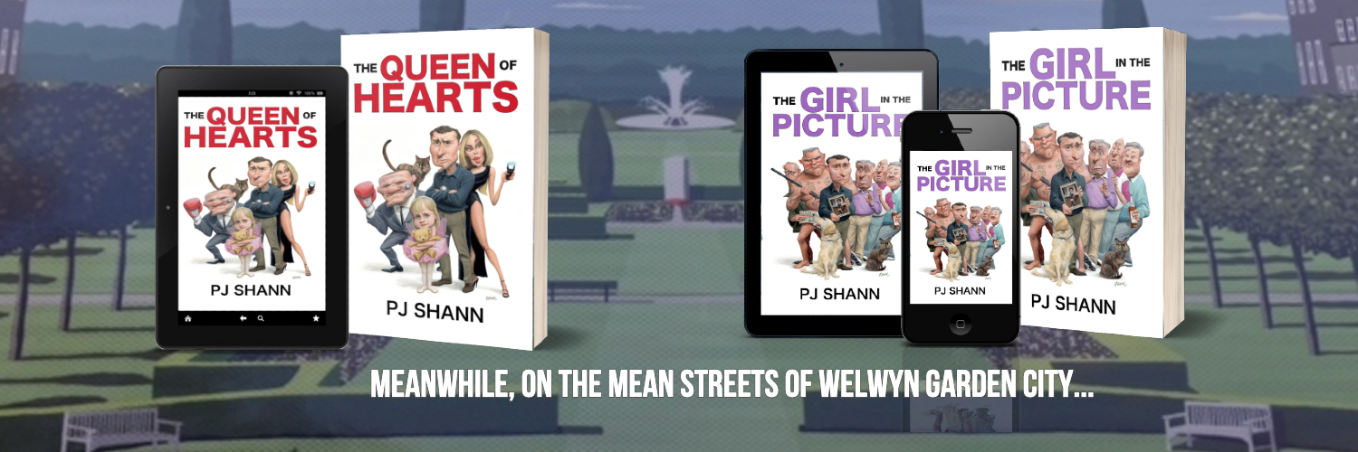 PJ SHANN banner