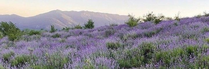 agosss91's profile banner image