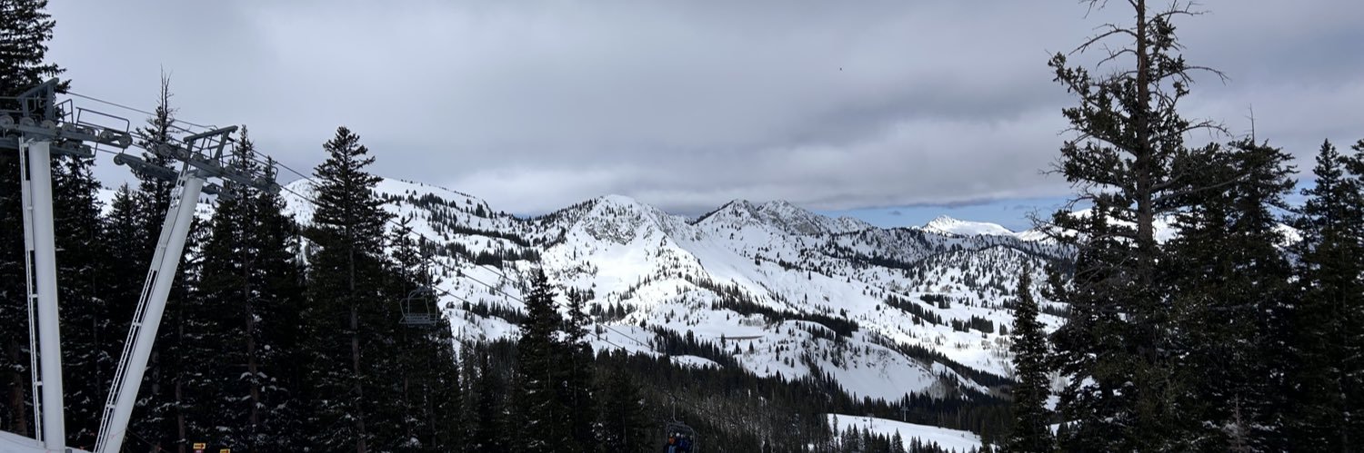 Sarah Lotshaw banner