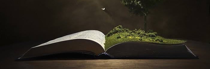 MRU4 🧡🇳🇬 banner