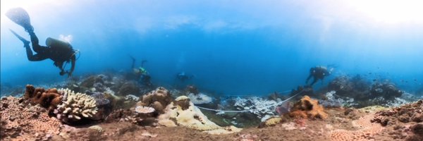 kylecoral Profile Banner