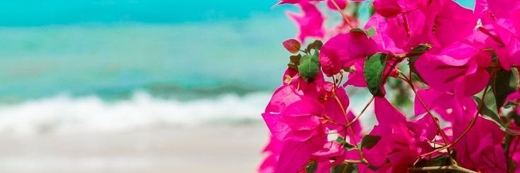 Huda ✨️ banner