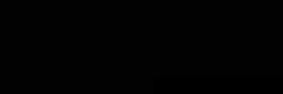 / banner