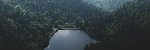Sirena Branham banner